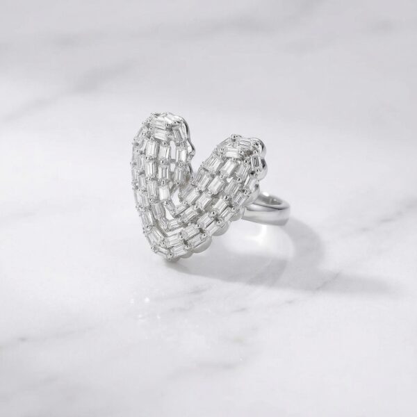 Anillo en Rodio ZANC01-117