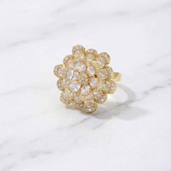 Anillo en Rodio ZANC02-28