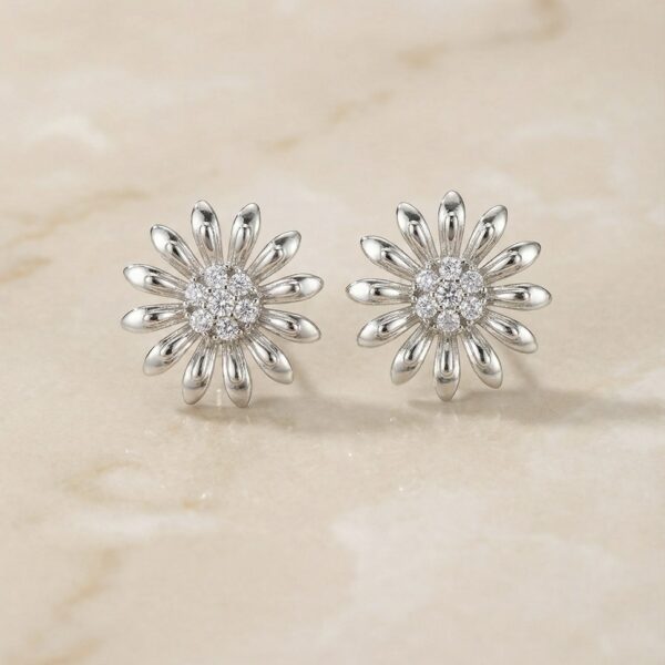 Aretes en Rodio Plateados ZARC01-119