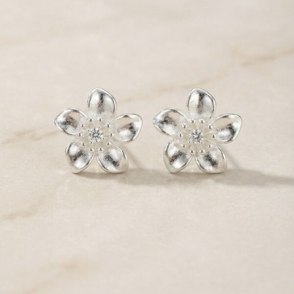 Aretes en Rodio Plateados ZARC01-134