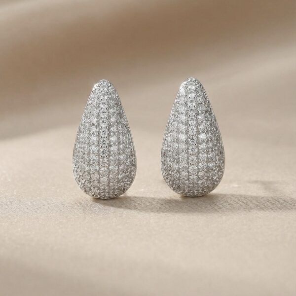 Aretes en Rodio Plateados ZARC01-179