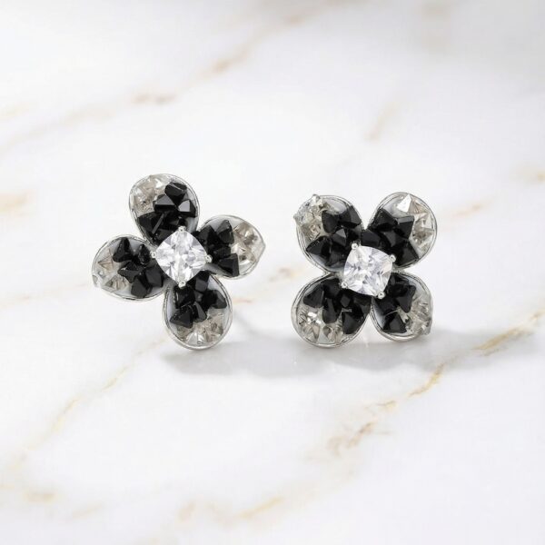 Aretes en Rodio Negros con Plateado ZARC03-98.P