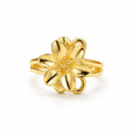 Anillo dorado Gala de ZYRAL