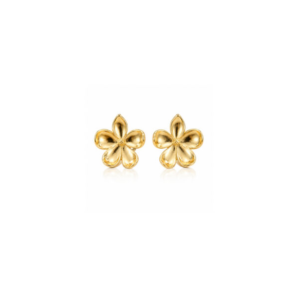Aretes dorados Isadora de ZYRAL